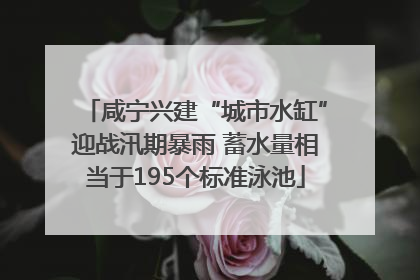 咸宁兴建“城市水缸”迎战汛期暴雨 蓄水量相当于195个标准泳池